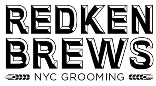 REDKEN BREWS